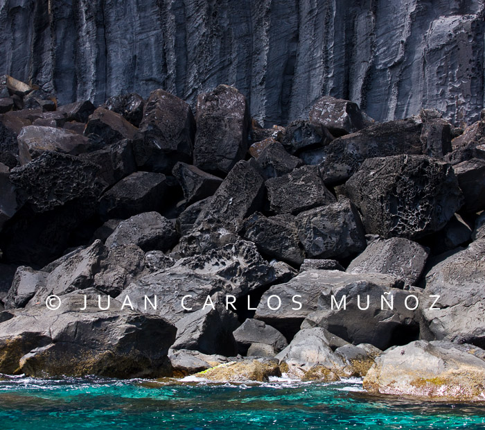 Viaje fotografico: La Ballena Azul en las Islas Azores - Foro Ofertas Comerciales de Viajes