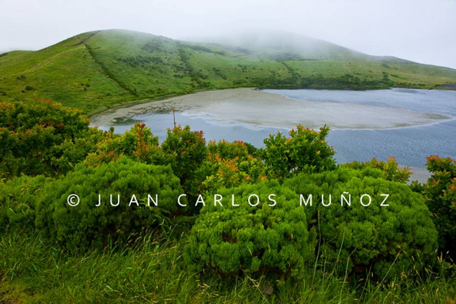 Viaje fotografico: La Ballena Azul en las Islas Azores - Foro Ofertas Comerciales de Viajes
